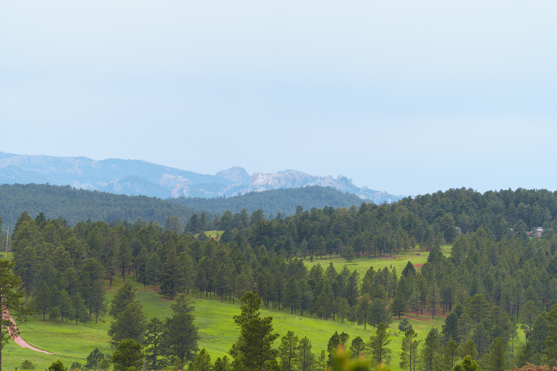 Black Hills
