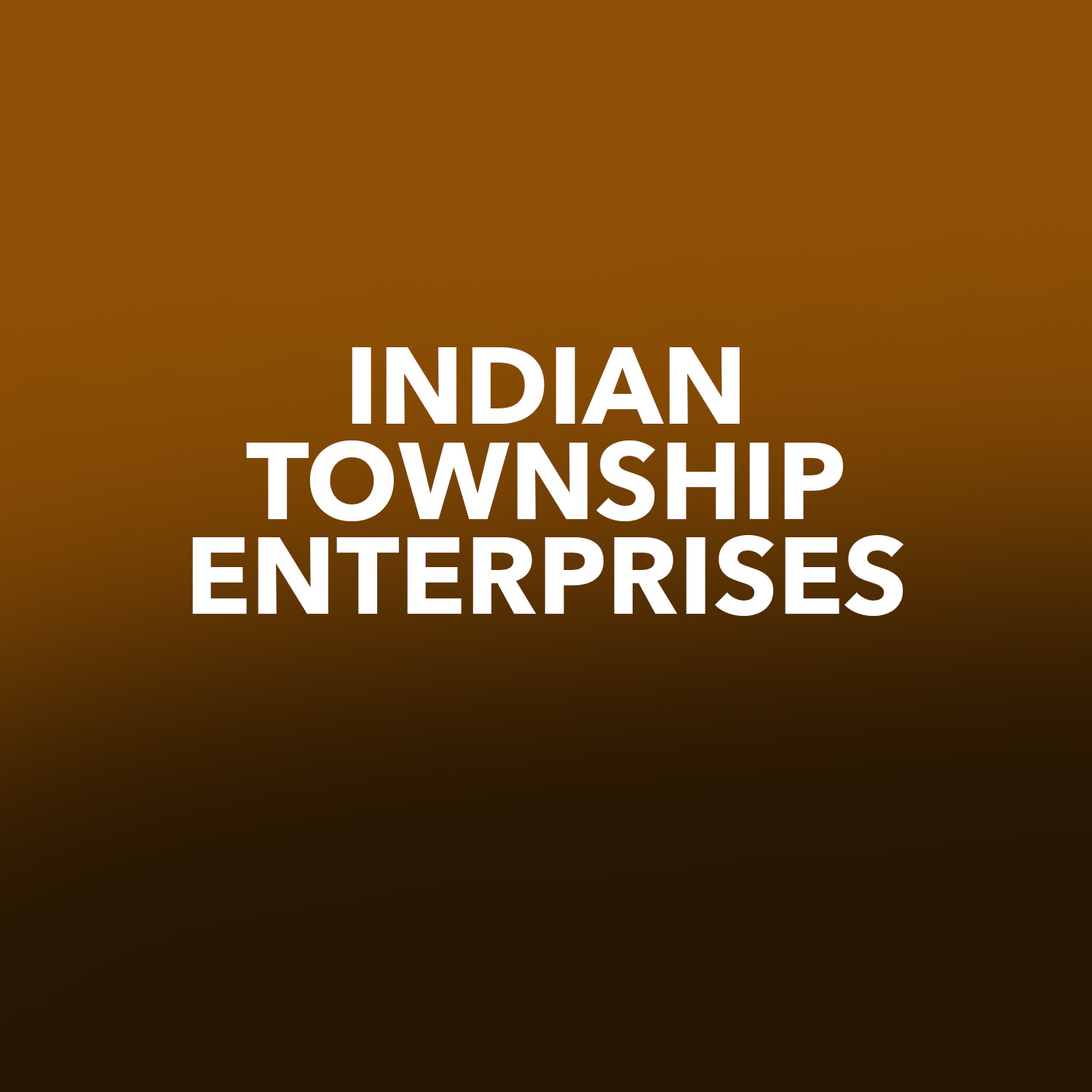 INDIAN TOWNSHIP ENTERPRISES