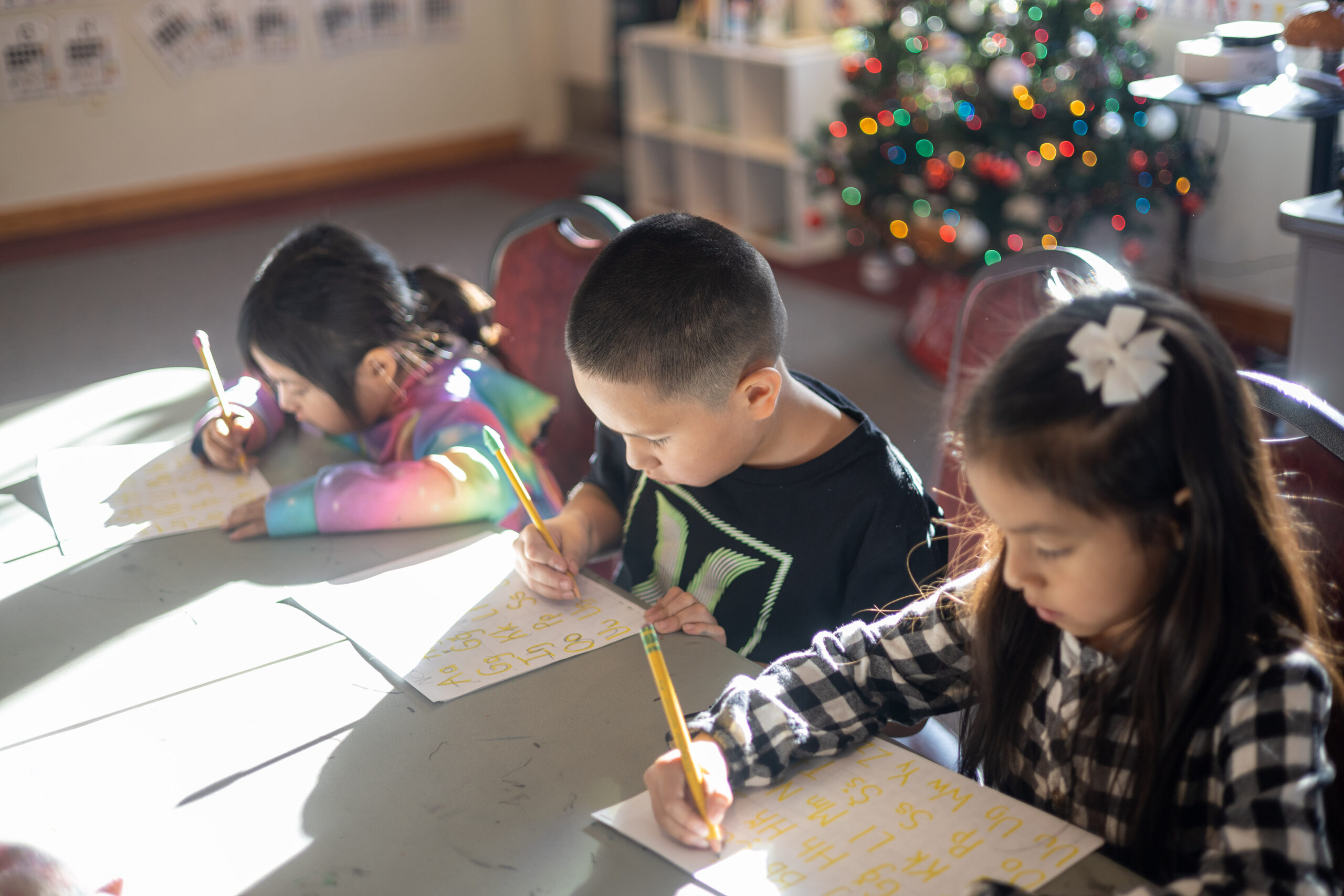 OCETI SAKOWIN COMMUNITY ACADEMY