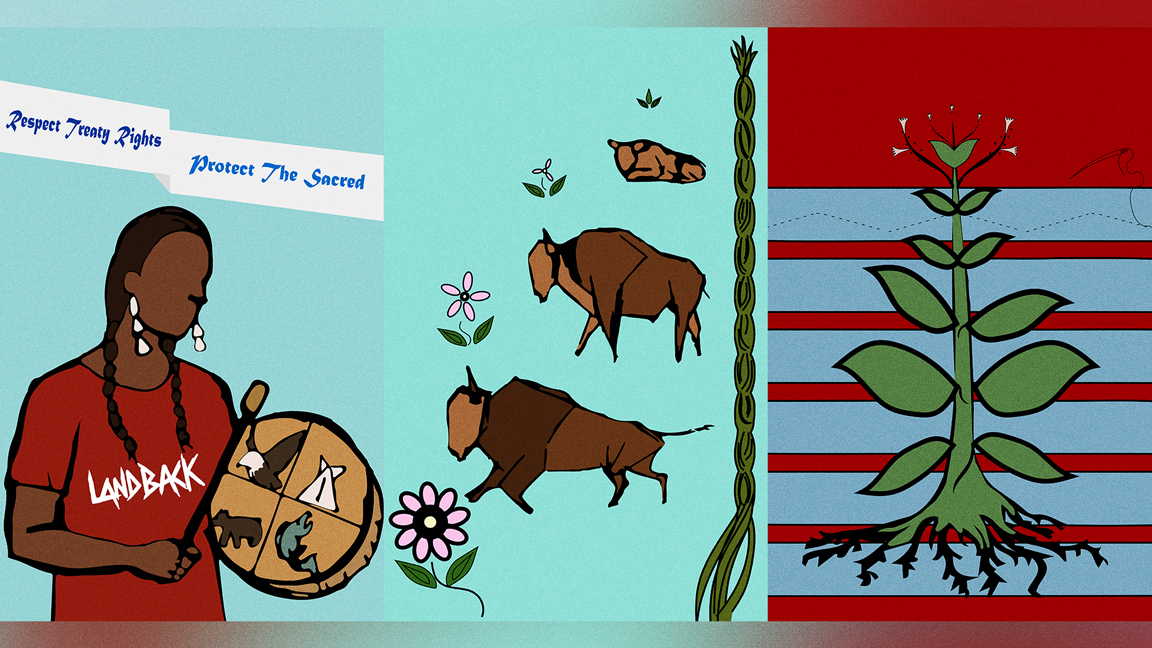 A drawing featuring an Indigenous person holding a drum with a LANDBACK shirt next to three American bison and a plant with roots across red and blue stripes.