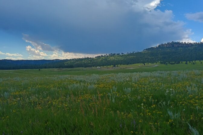 Pe’Sla Needs Our Protection: Help Us Save this Sacred Site from Illegal Drilling