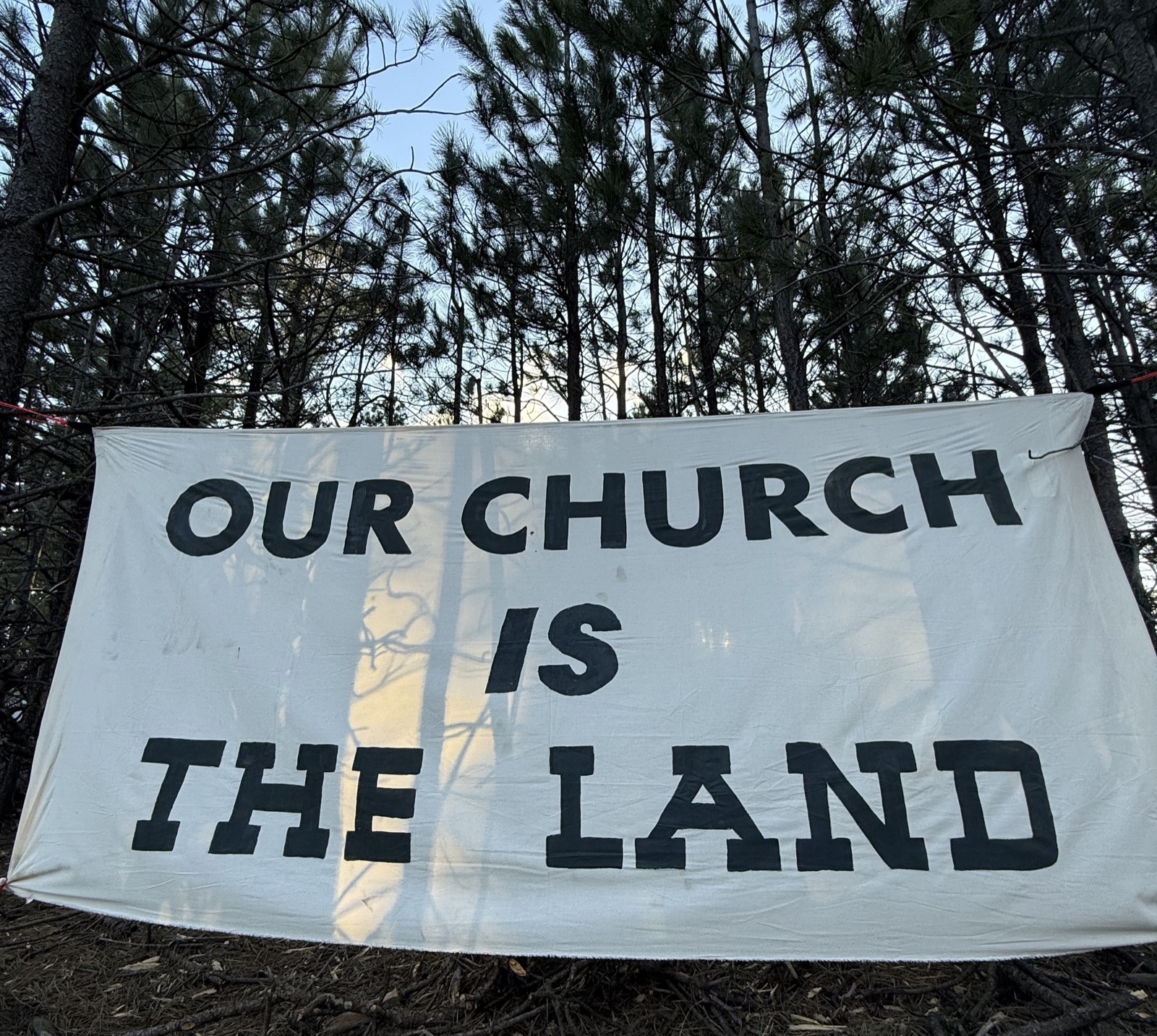 Sign the Petition: Support the Sacred Ȟe Sápa Restoration Act